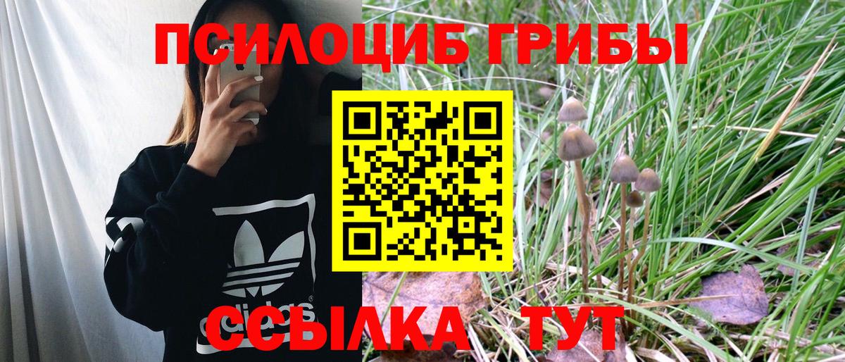 Псилоцибиновые грибы GOLDEN TEACHER Королёв