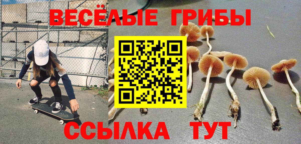 Псилоцибиновые грибы Psilocybe  Вход с VPN  Галлюциногенные грибы GOLDEN TEACHER  Королёв 
